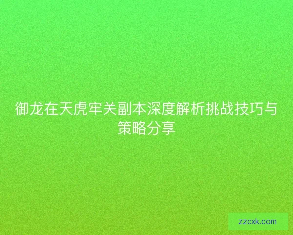 御龙在天虎牢关副本深度解析挑战技巧与策略分享